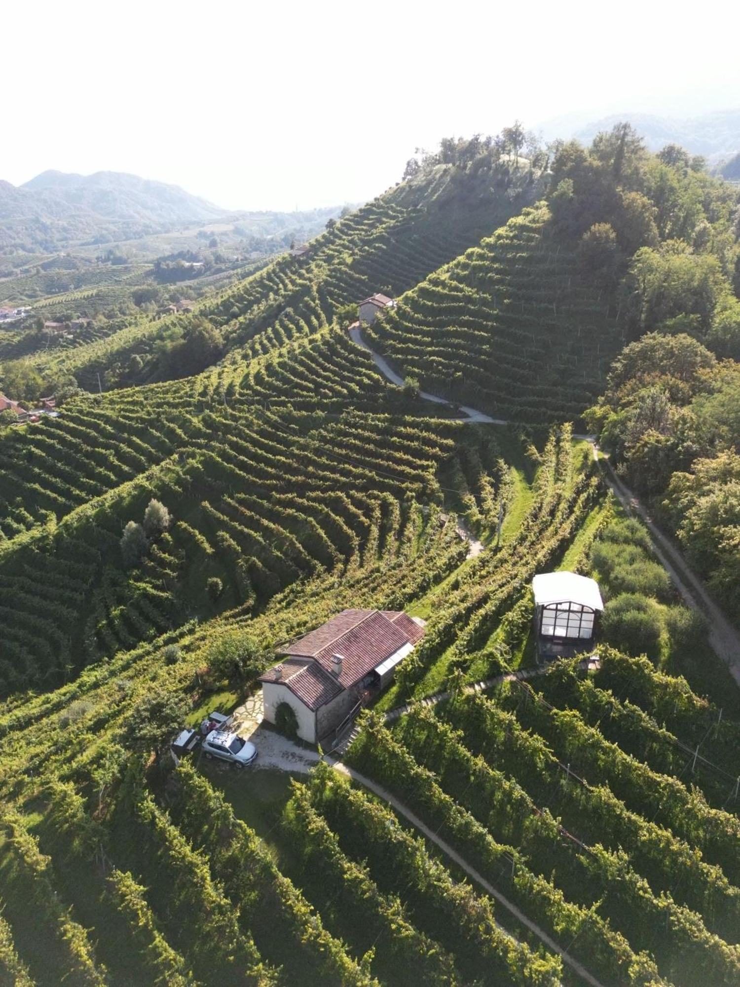 Agriturismo Il Conte Vassallo Miane 外观 照片
